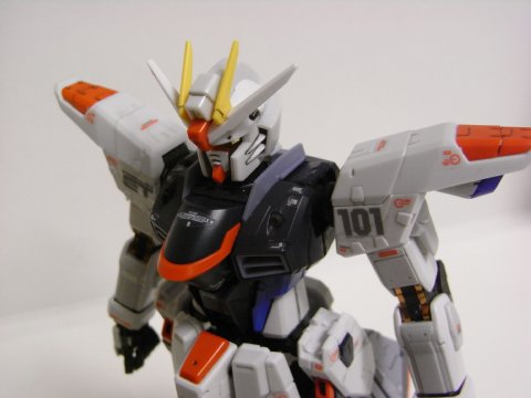 RG フリーダムガンダム