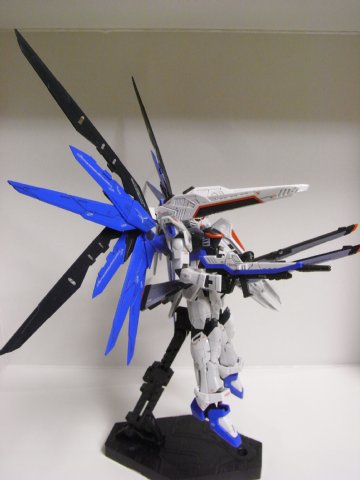 RG フリーダムガンダム