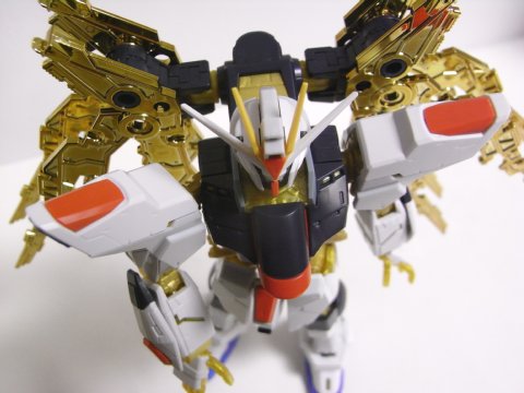 RG ストライクフリーダムガンダム