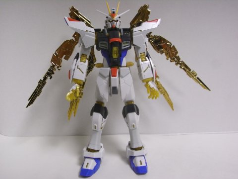 RG ストライクフリーダムガンダム