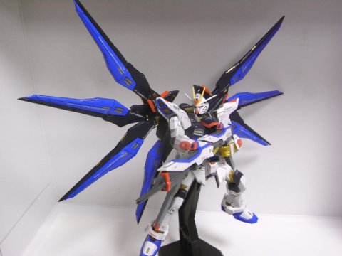 RG ストライクフリーダムガンダム