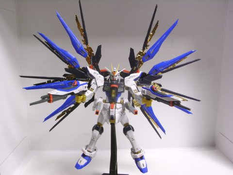 RG ストライクフリーダムガンダム