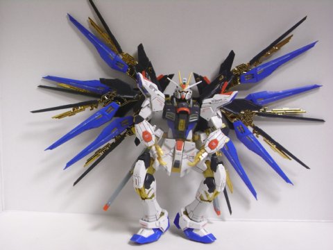 RG ストライクフリーダムガンダム