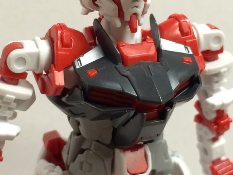 RG アストレイレッドフレーム