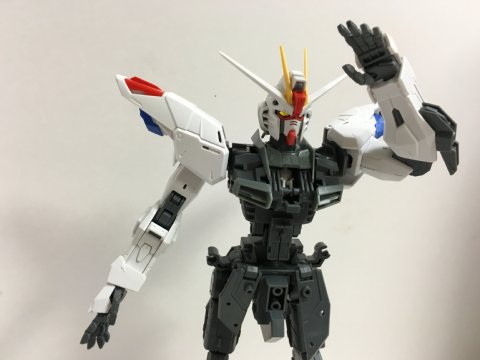 MG フリーダムガンダム Ver.2.0