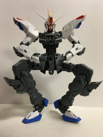 MG フリーダムガンダム Ver.2.0