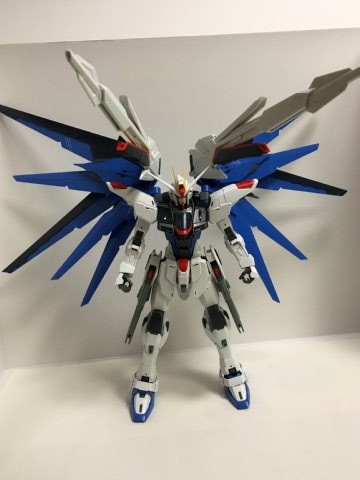 MG フリーダムガンダム Ver.2.0