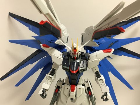 MG フリーダムガンダム Ver.2.0