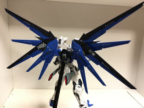 MG フリーダムガンダム Ver.2.0