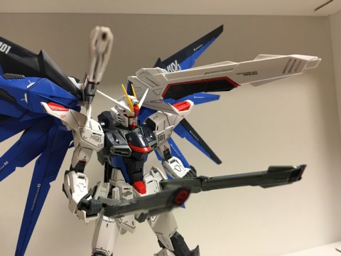 MG フリーダムガンダム Ver.2.0