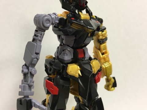 RG ガンダムアストレイ ゴールドフレーム天ミナ