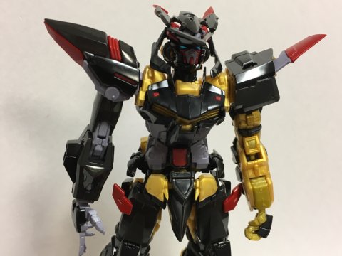 RG ガンダムアストレイ ゴールドフレーム天ミナ