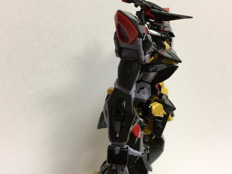 RG ガンダムアストレイ ゴールドフレーム天ミナ