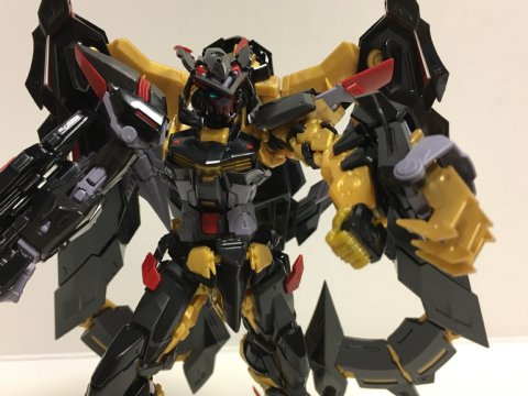 RG ガンダムアストレイ ゴールドフレーム天ミナ